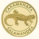Монета Украина 2 гривны 2003 Золото Proof Саламандра (Au 999.9, 1,24 грамм) - изображение 1