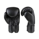 Боксерські рукавички Everlast EF-0370-16 чорні 16 унцій (16 oz) - зображення 2