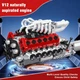 Конструктор двигун V12 Naturally Aspirated Engine Ferrari Mould King моторозований дитячий мотор, 1366 деталей 10210 - зображення 8