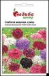 Скабиоза махровая, смесь, 0,3 г Садиба Центр - изображение 1