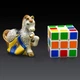 Фигурка De Rosa Rinconada Families Zodiac Жеребёнок Серый Dr365g-f-47 - изображение 4