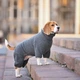 Одежда Noble Pet Hunter Grey - комбинезон для собак L (T4145/L) - изображение 8