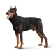 Одежда Noble Pet Bobby Black – пуховик для собак 6XL (B4141/6XL) - изображение 1