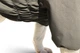 Одежда Noble Pet Travis Khaki - комбинезон для собак 2XL (T4123/2XL) - изображение 2