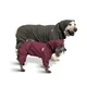 Одежда Noble Pet Travis Grayish Red - комбинезон для собак 4XL (T4124/4XL) - изображение 15