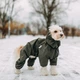 Одежда Noble Pet Travis Khaki - комбинезон для собак 2XL (T4123/2XL) - изображение 6