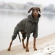Одежда Noble Pet Travis Khaki - комбинезон для собак 2XL (T4123/2XL) - изображение 11