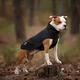 Одежда Noble Pet Softshell Ostin Navy Жилет для собак L (O4143/L) - изображение 6