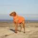 Одежда Noble Pet Bobby Orange – пуховик для собак L (B4140/L) - изображение 8