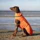 Одежда Noble Pet Bobby Orange – пуховик для собак L (B4140/L) - изображение 9