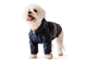 Одежда Noble Pet Moss Long Blue - дождевик для такс и корги XL (M4106/XL-Long) - изображение 5