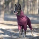 Одежда Noble Pet Travis Grayish Red - комбинезон для собак 4XL (T4124/4XL) - изображение 9