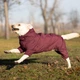 Одежда Noble Pet Travis Grayish Red - комбинезон для собак 4XL (T4124/4XL) - изображение 10
