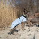 Одежда Noble Pet Rio Light Blue – дождевик для собак 7XL (R4137/7XL) - изображение 4