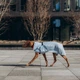 Одежда Noble Pet Rio Light Blue – дождевик для собак 7XL (R4137/7XL) - изображение 6