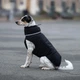 Одежда Noble Pet Bobby Black – пуховик для собак 6XL (B4141/6XL) - изображение 7
