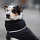 Одежда Noble Pet Bobby Black – пуховик для собак 6XL (B4141/6XL) - изображение 8