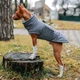 Одежда Noble Pet Bobby Gray – пуховик для собак 7XL (B4118/7XL) - изображение 9