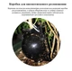Укорінювач для гілок повітряний 5 см для формування коренів комлект 10 шт R9548 - зображення 5