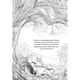 Книга Дівчинка на ім'я Віллоу. Книга 2: Шепіт лісу - Забіне Больман BookChef (9786175484326) - изображение 7