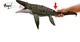 Динозавр Мозазавр Jurassic World Rebirth Bite N Blast Mosasaurus Action Figure - зображення 3
