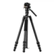 Штатив Vanguard Vesta Go 234CV10 (Vesta Go 234CV10) карбон - изображение 1