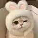 Шапка с ушками кролика для котов 17х15 см Podarkus DK037 - изображение 3