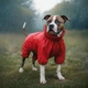 Дождевик для животных WAUDOG Clothes водонепроникний XS30 червоний (19823) - изображение 4