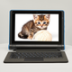 Ноутбук- планшет 10" Medion (Lenovo Group) Akoya E10201 Intel RAM 4 ГБ eMMC 64 ГБ Сенсорний 2 в 1 Win10 (4723) - Уцінка - зображення 1