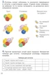 НУШ 4 клас. Інформатика. Робочий зошит до підручника Козак Л.З. - Лілія Козак (9789669452818) - изображение 3