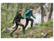 Куртка Softshell (софтшел) водоотталкивающая и ветрозащитная для мужчины Crivit BIONIC-FINISH® ECO 458389 S Зеленый - изображение 6