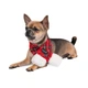 Різдвяна Шарф для собак Pet fashion HAPPY XS-S PR242356 - зображення 3