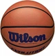 Баскетбольный мяч Wilson Evolution (размер 7) WTB0595XB0702 - изображение 4