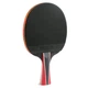 Ракетка для настольного тенниса Landers 6 Star Gemini Sport 6002-1 - изображение 2