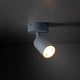 Спот TK Lighting 10221 LIVIA - зображення 3