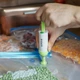 Набор для вакуумной упаковки продуктов (насос + пакеты) Browin - изображение 6