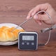 Термометр электронный с зондом и таймером Orion 0 - 250°C - изображение 3
