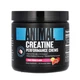 Креатин жувальні цукерки Animal Creatine Chews, 120, цукерок, Фруктовий пунш - зображення 1