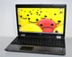 Ноутбук Б-класс HP ProBook 6555b / 15.6" TN / AMD Turion II P520 (2 ядра по 2.3GHz) / 8GB DDR3 / 360GB SSD NEW / AMD Radeon HD 4200 Graphics / DVD-ROM / АКБ NEW / Win 10 Pro б/у - изображение 2