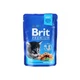 Корм вологий Brit Premium Cat Kitten Chicken Chunks pouch для кошенят з куркою 100 г - изображение 1