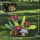 Конструктор Квіти і комахи Сонечко Сонечко Insect Collection 3D 741 дит Різноцвіт (28189) - зображення 8