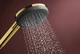 Ручной душ Hansgrohe Raindance Alive Select S EcoSmart polished gold optic 24511990 - изображение 5