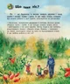 Ліс - зображення 6