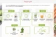 Набір Body Detox Nutrilite AMWAY Амвей Емвей (200630) - зображення 3
