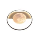Светодиодная накладная люстра Ardero AL6105ARD MOONLIGHT 70Вт белый - изображение 3