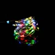Смарт RGB гирлянда с таймером и контроллером 3м 50 LED Kaktus разноцветная - изображение 1