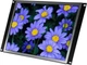 Монитор портативный 15" VSDISPLAY LQ150X1LW94 HD IPS 75 Гц Б/В - изображение 2