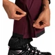 Штани гірськолижні Diminish Pant Dare 2b DWW509-909 XS Фіолетовий (5063019862811) - зображення 4