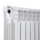 Радіатор біметалічний Thermo Alliance Bi-Ferrum 300/100 1,15 кг - зображення 8
