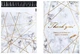 Кур'єрський пакет Golden lines on marble 255 х 330 + 40 клапан - зображення 2